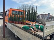 Friedhof  März 2026