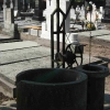 friedhof_20120503011