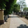 friedhof_20120503053